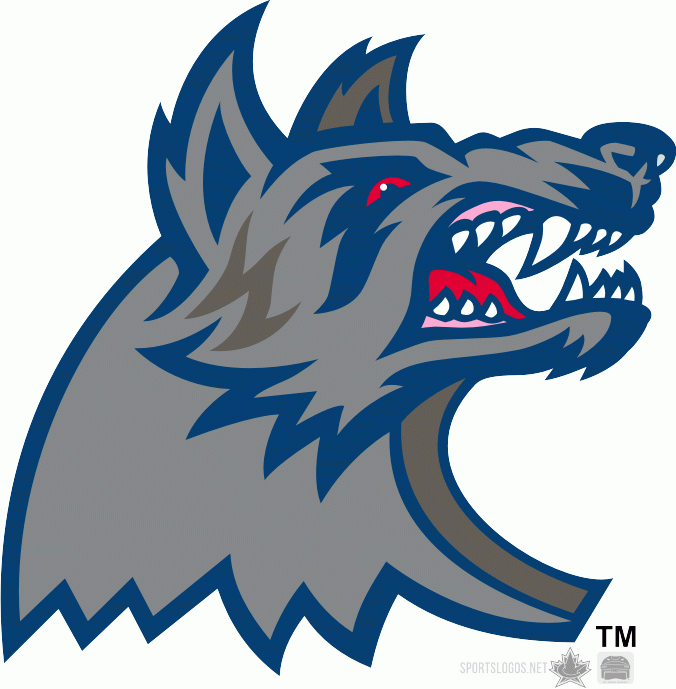 Hartford Wolf Pack 1999 00 Alternate Logo iron on heat transfer